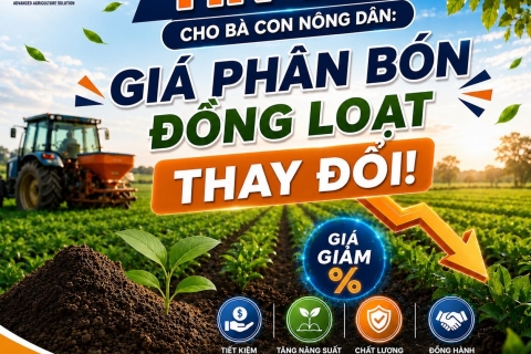 TIN VUI CHO BÀ CON NÔNG DÂN: GIÁ PHÂN BÓN ĐỒNG LOẠT THAY ĐỔI!
