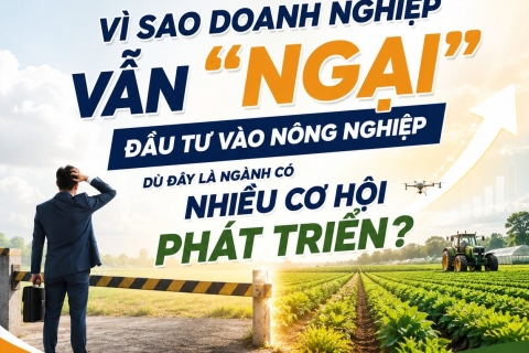 Vì sao doanh nghiệp vẫn "ngại" đầu tư vào nông nghiệp, dù đây là ngành có thể phát triển lâu dài?